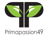 cropped logo ใหม่.png